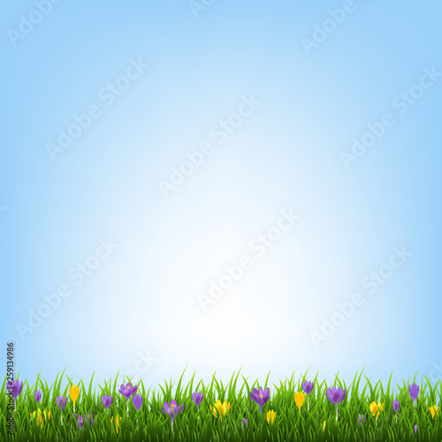 Spring Flowers Border With Grass