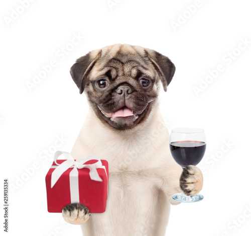 Pug puppy holding glass of red wine and gift box. isolated on white background © Ermolaev Alexandr