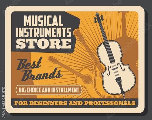 Music store, professional musical instruments