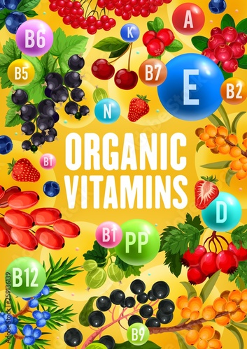 Fototapeta Naklejka Na Ścianę i Meble -  Organic vitamins in healthy natural berry fruits