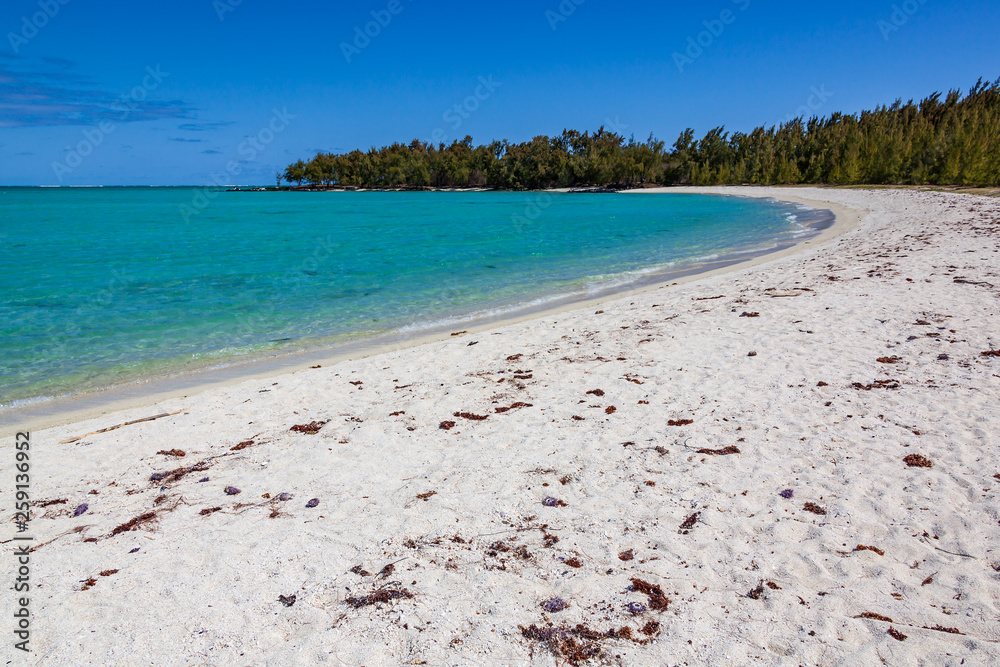 Calm surf of turquoise ocean rolls on the picturesque white sandy tropical beach bordered with bright lush greenery