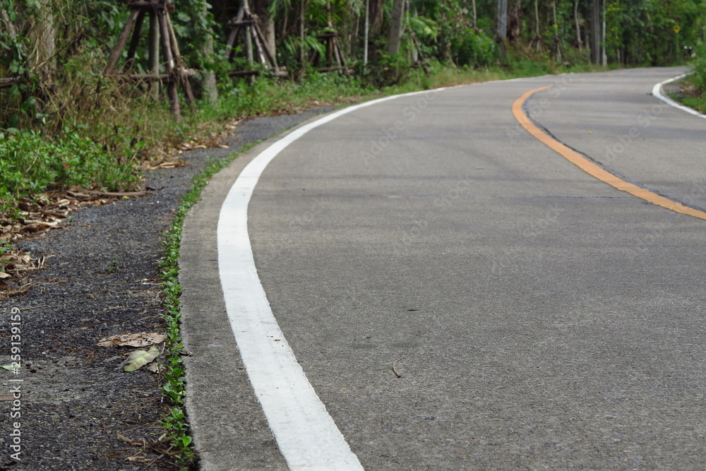 Fototapeta premium road and tree in Thailand