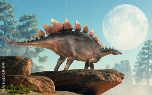 Fototapeta Naklejka Na Ścianę i Meble -  Stegosaurus, was a thyreophoran dinosaur. An herbivore, it is one of the best known dinosaurs of the Jurassic period. Here, a grey and brown one is on a cliff looking at the moon. 3D Rendering. 
