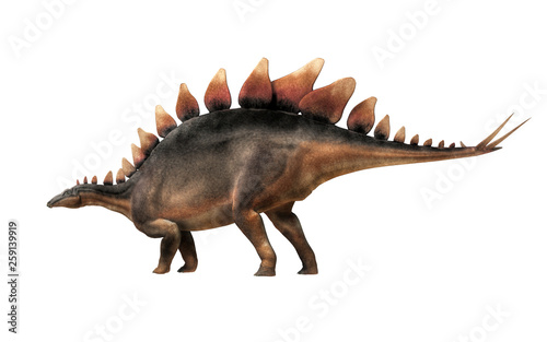Stegosaurus  was a thyreophoran dinosaur.  An herbivore  it is one of the best known dinosaurs of the Jurassic period. Here  a grey and brown one is in profile on a white background. 3D Rendering. 