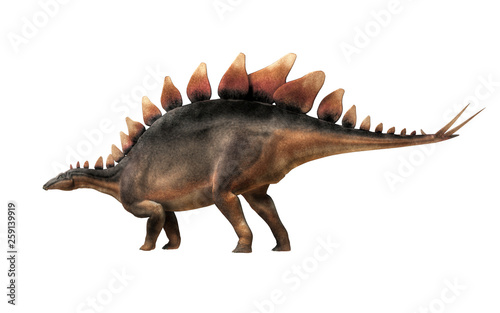 Fototapeta Naklejka Na Ścianę i Meble -  Stegosaurus, was a thyreophoran dinosaur.  An herbivore, it is one of the best known dinosaurs of the Jurassic period. Here, a grey and brown one is in profile on a white background. 3D Rendering. 