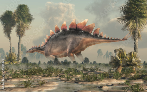Fototapeta Naklejka Na Ścianę i Meble -  Stegosaurus, was a thyreophoran dinosaur. An herbivore, it is one of the best known dinosaurs of the Jurassic period. Here, a grey and brown one is standing in profile in a wetland. 3D Rendering. 