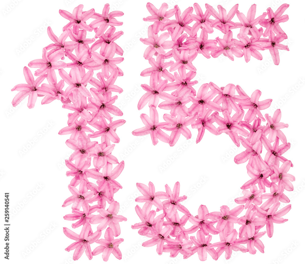 Numeral 15, fifteen, from natural flowers of hyacinth, isolated on white background