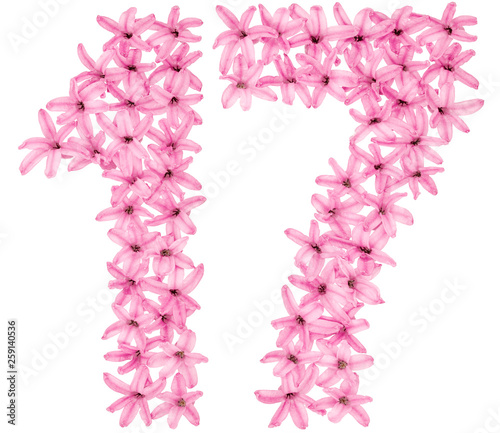 Numeral 17, seventeen, from natural flowers of hyacinth, isolated on white background