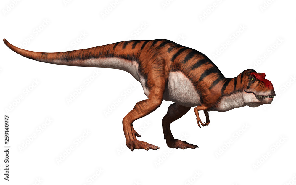 A tyrannosaurus rex glances in your direction.  This carnivorous dinosaur has been given a tiger stripe coloration. On a white background. 3D Rendering.