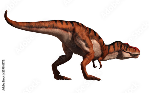 A tyrannosaurus rex looks ready to chase after his prey.  This carnivorous dinosaur has been given a tiger stripe coloration. On a white background. 3D Rendering. © Daniel Eskridge