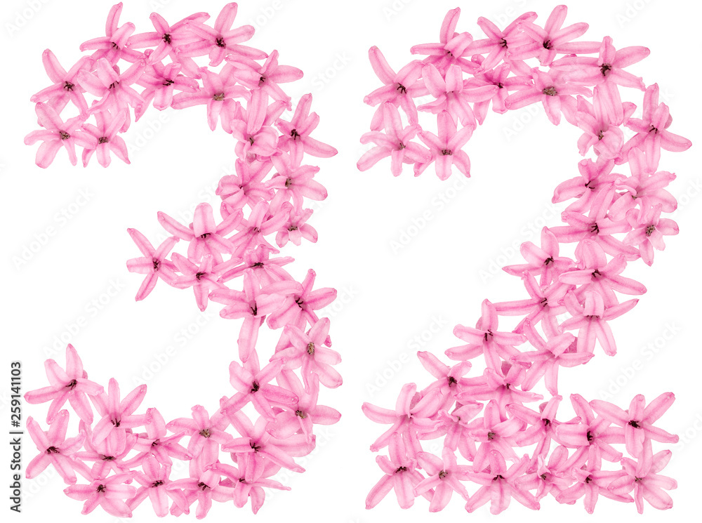 Numeral 32, thirty two, from natural flowers of hyacinth, isolated on white background