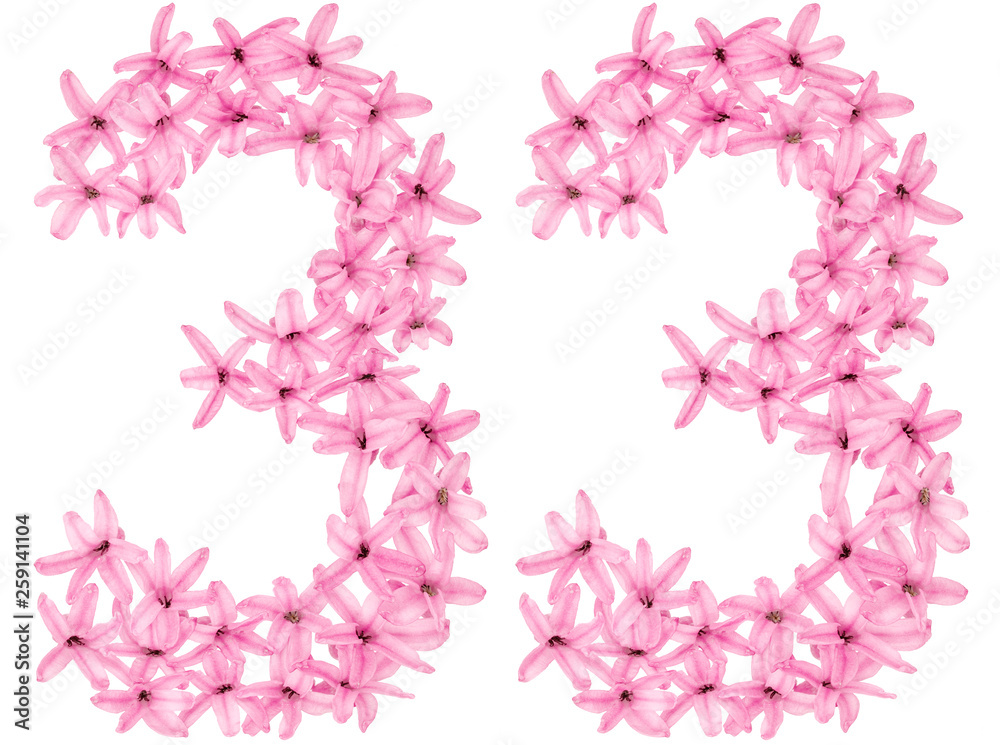Numeral 33, thirty three, from natural flowers of hyacinth, isolated on white background