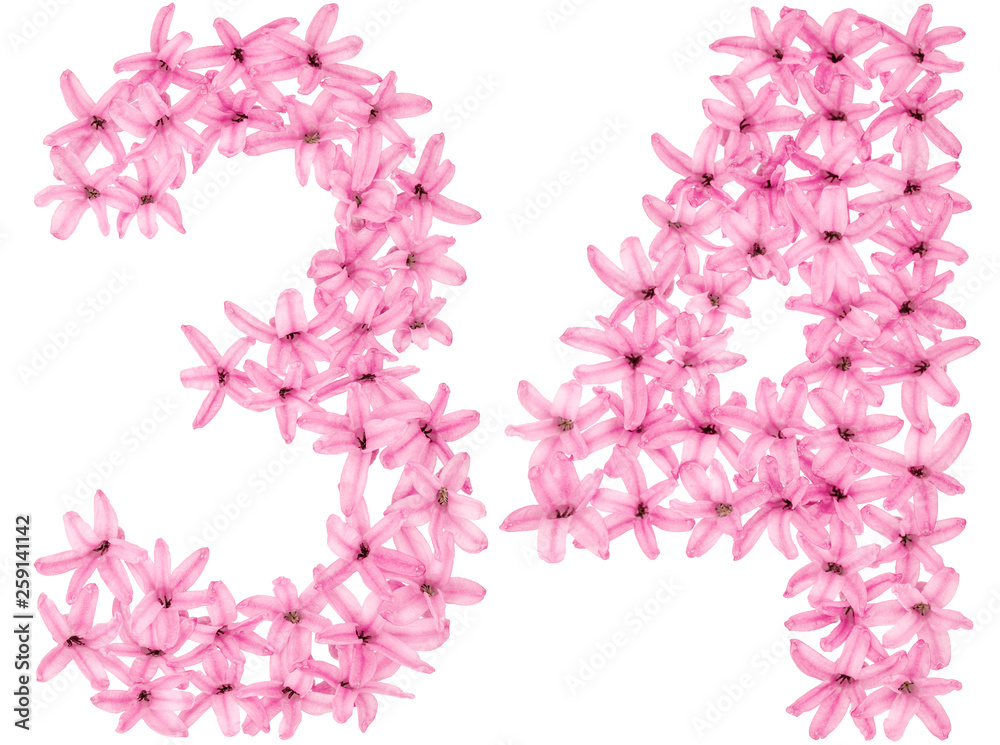 Numeral 34, thirty four, from natural flowers of hyacinth, isolated on white background