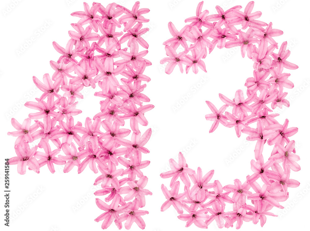 Numeral 43, forty three, from natural flowers of hyacinth, isolated on white background Numeral 43, forty three, from natural flowers of hyacinth, isolated on white background
