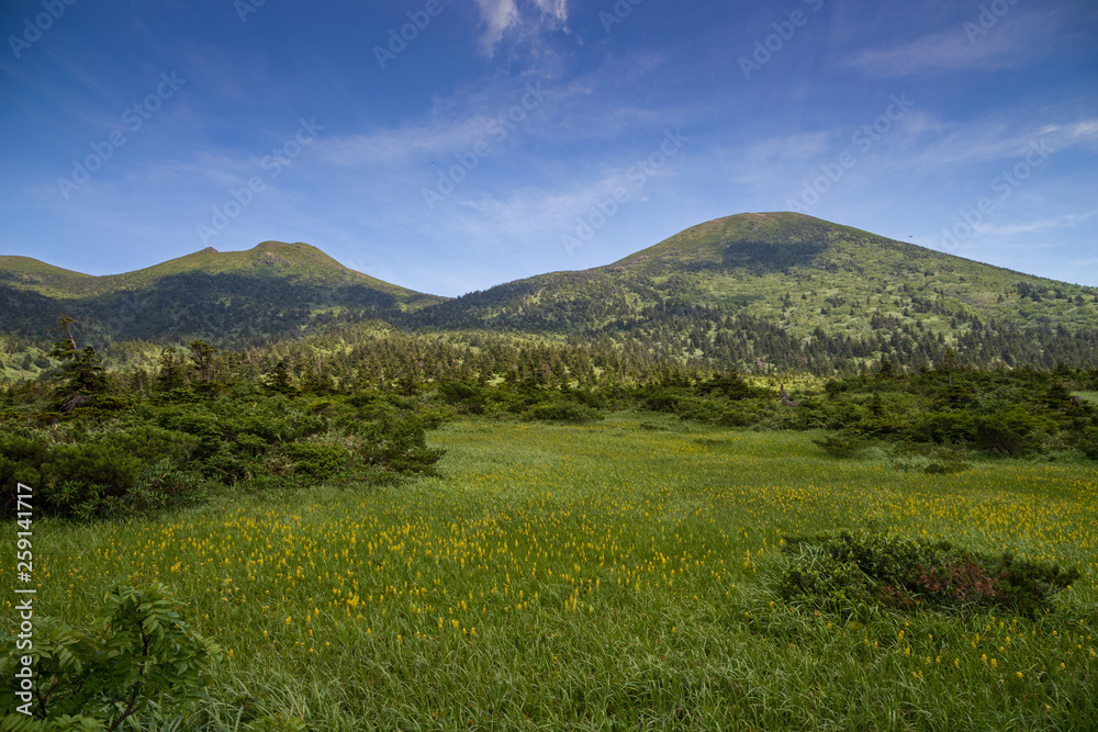 Fototapeta premium Aomori Prefecture Hakkoda