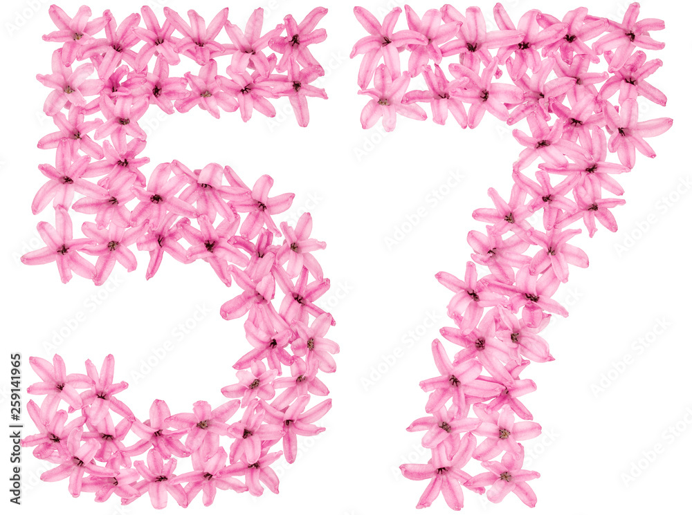 Numeral 57, fifty seven, from natural flowers of hyacinth, isolated on white background