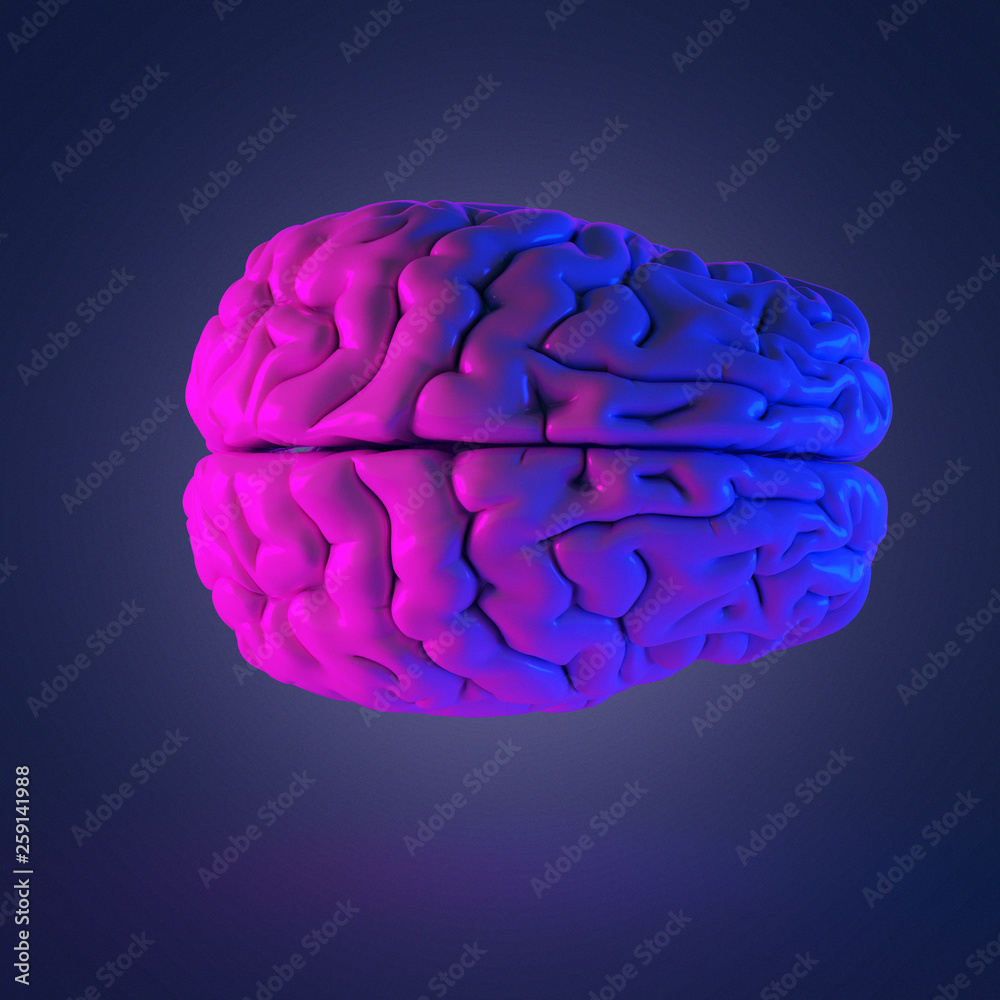3d rendered abstract rendering of a brain 3d rendered abstract rendering of a brain