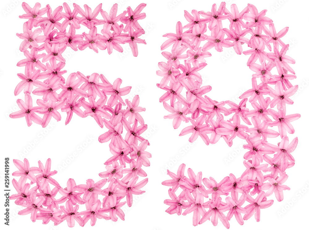 Numeral 59, fifty nine, from natural flowers of hyacinth, isolated on white background