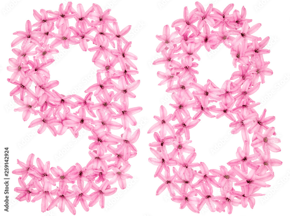 Numeral 98, ninety eight, from natural flowers of hyacinth, isolated on white background