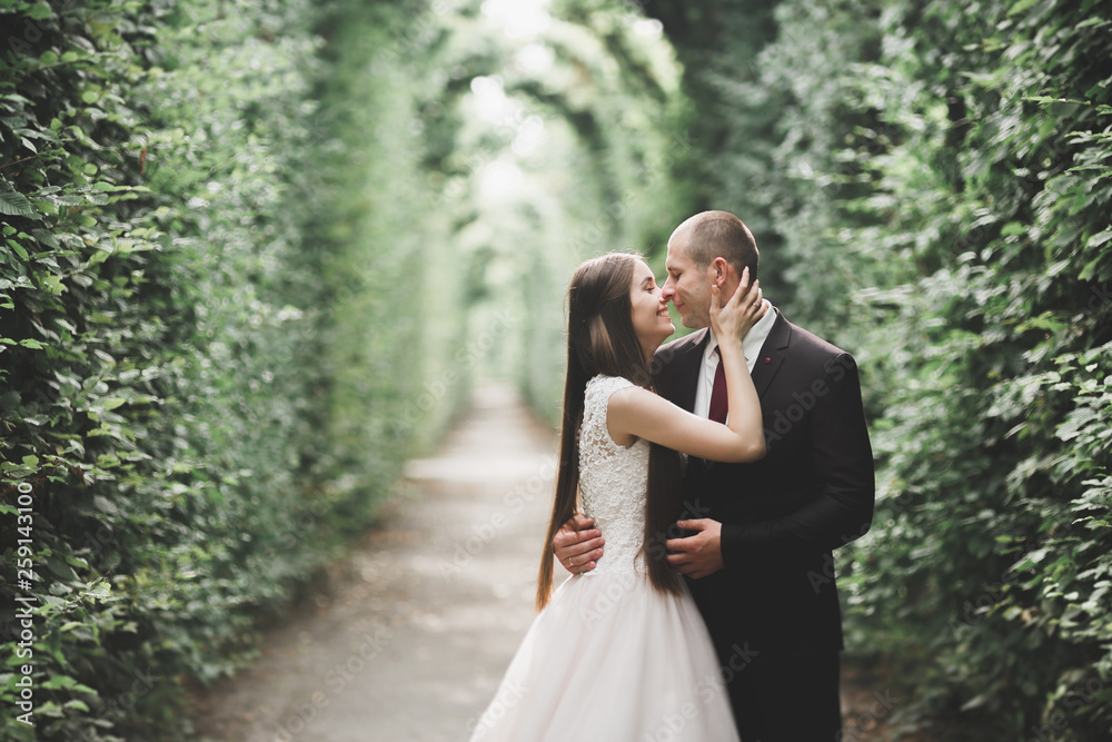 Stylish couple of happy newlyweds walking in the park on their wedding day with bouquet Stylish couple of happy newlyweds walking in the park on their wedding day with bouquet