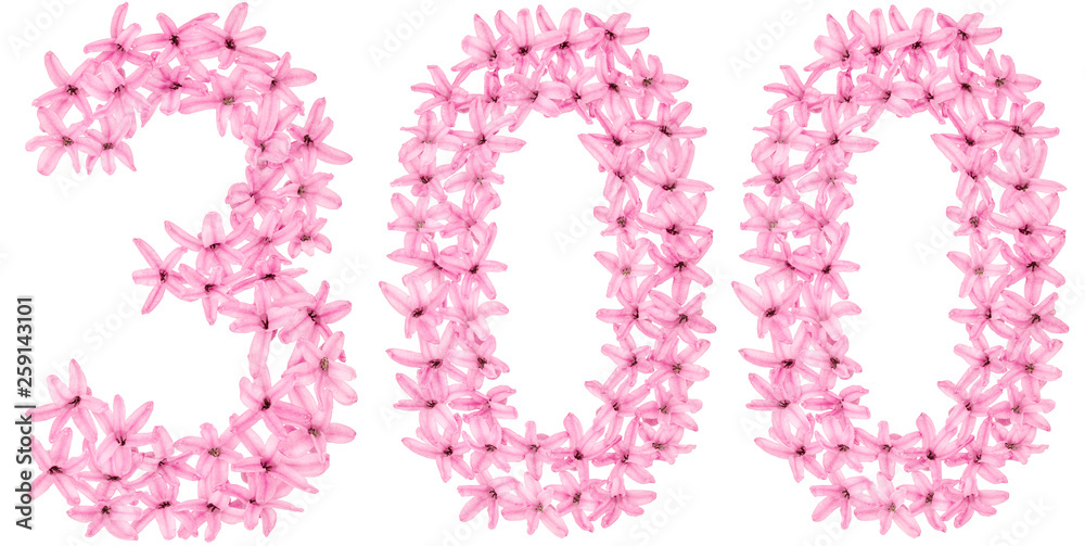 Numeral 300, three hundred, from natural flowers of hyacinth, isolated on white background