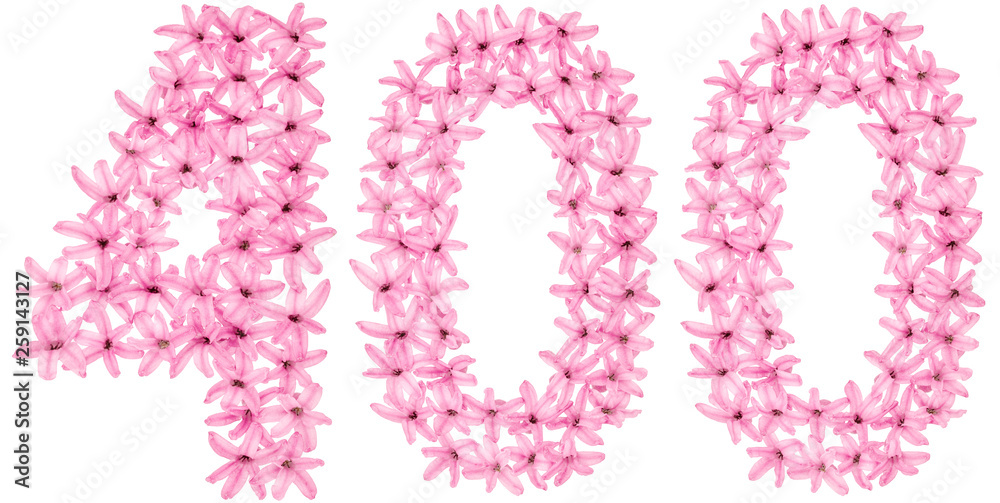 Numeral 400, four hundred, from natural flowers of hyacinth, isolated on white background