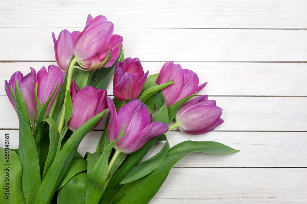 bunch of purple tulips on white wooden table. Banner with copy space