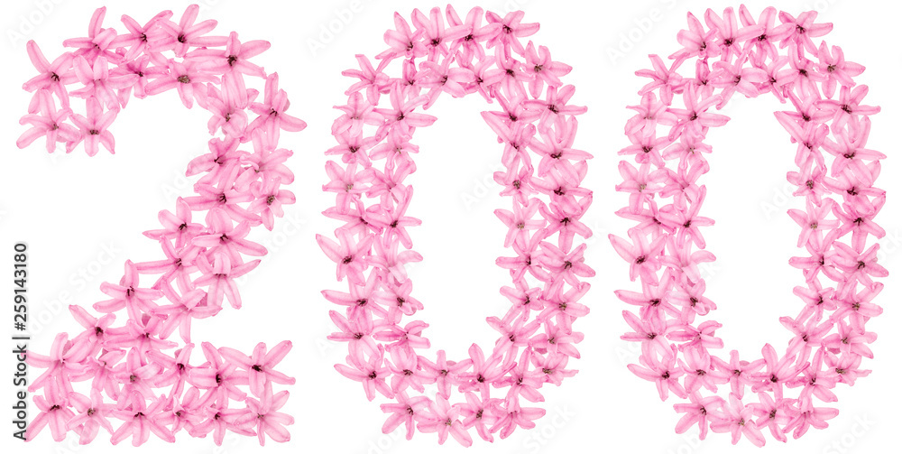 Numeral 200, two hundred, from natural flowers of hyacinth, isolated on white background Numeral 200, two hundred, from natural flowers of hyacinth, isolated on white background