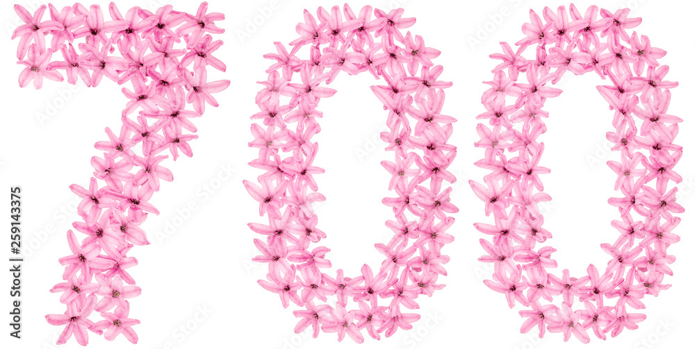 Numeral 700, seven hundred, from natural flowers of hyacinth, isolated on white background