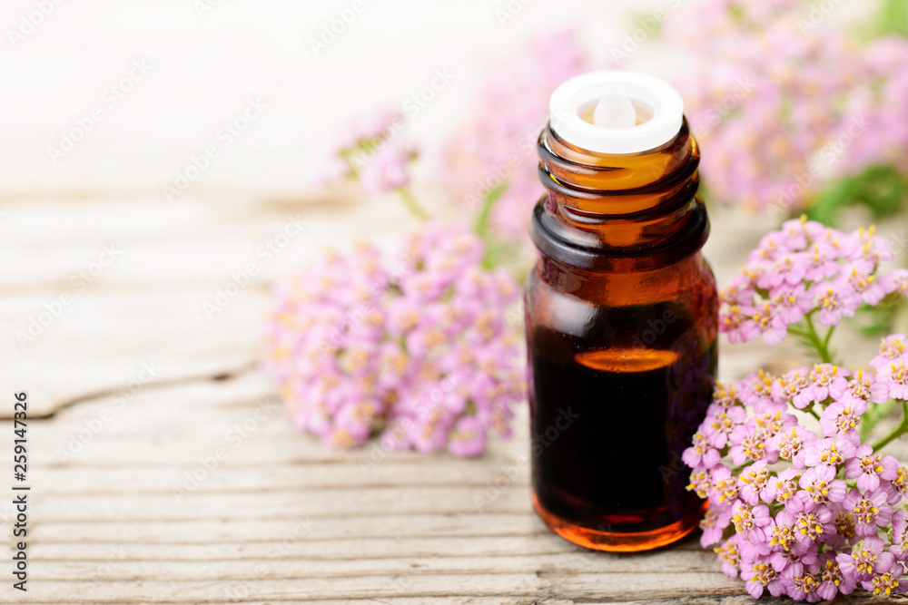 yarrow essential oil and fresh yarrow flowers on the wooden board yarrow essential oil and fresh yarrow flowers on the wooden board