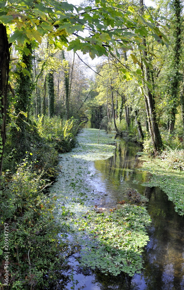 Obraz premium promenade dans le marais