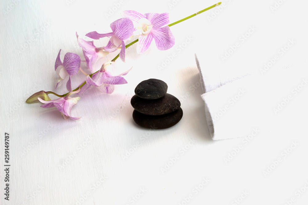 stone spa and orchid on white background stone spa and orchid on white background