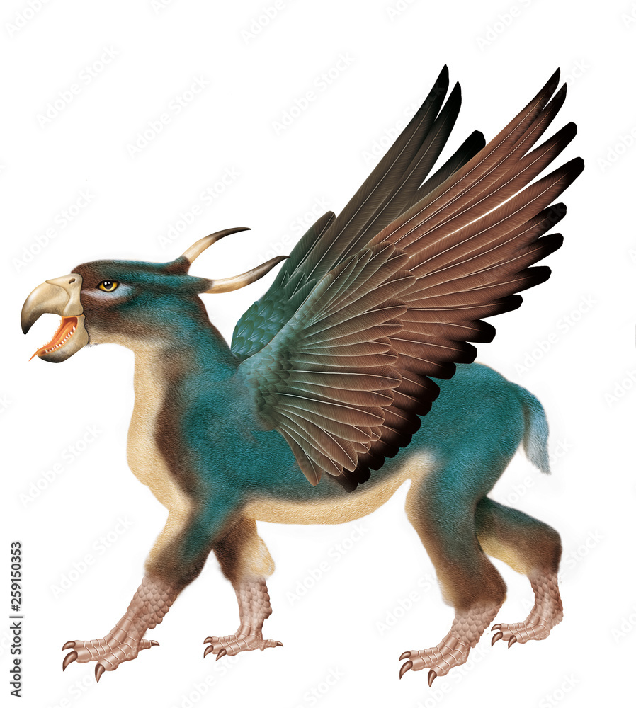 fauve, bec, aigle, cornes, ailes, mythique, volant, imaginaire, animal, gris bleu, fantastique, hybride, illustration, légende, isolé, fond blanc, en marche, canines fauve, bec, aigle, cornes, ailes, mythique, volant, imaginaire, animal, gris bleu, fantastique, hybride, illustration, légende, isolé, fond blanc, en marche, canines