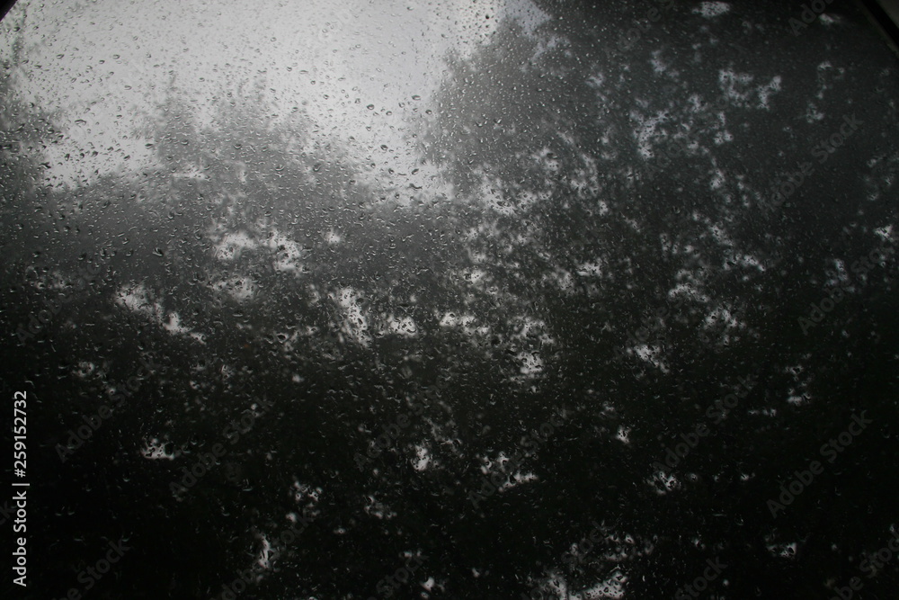 雨 雨