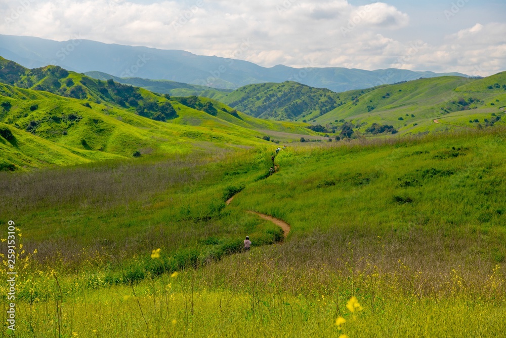 Tourists walking along trail at Chino Hills in spring