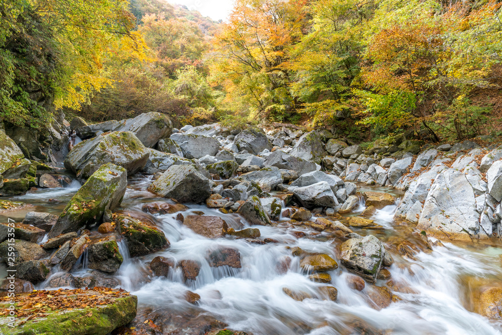 秋の渓流美