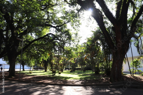 Ibirapuera's Park - 47 © Danilo