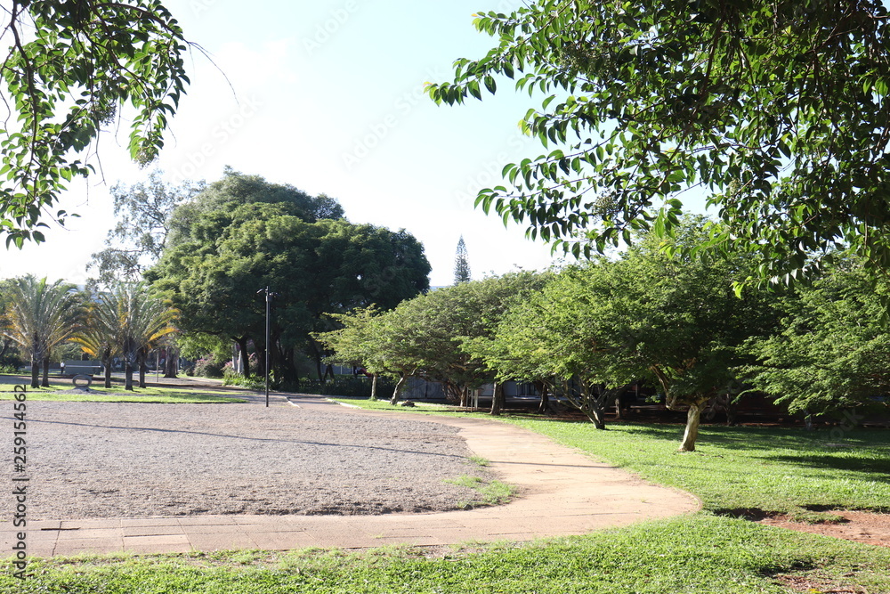 Ibirapuera's Park - 13