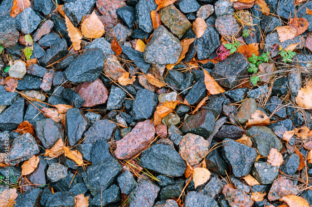 Dried leaves between small rocks. A pile of rocks along the railroad. Rocky railroad embankment. Dried leaves between small rocks. A pile of rocks along the railroad. Rocky railroad embankment.
