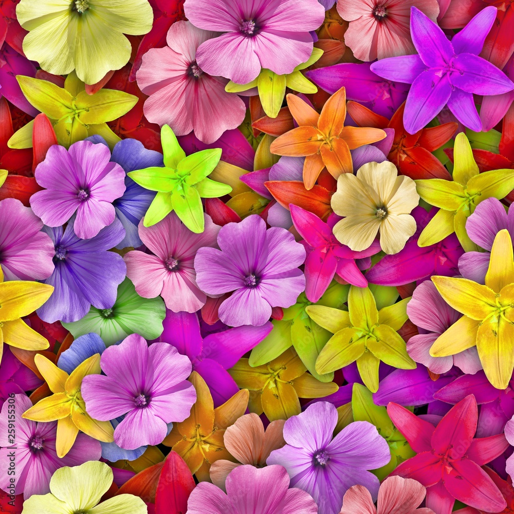 Colorful background with different flowers. Seamless.