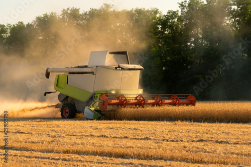 Autonomous harvester on the field. Smart farming concept photo