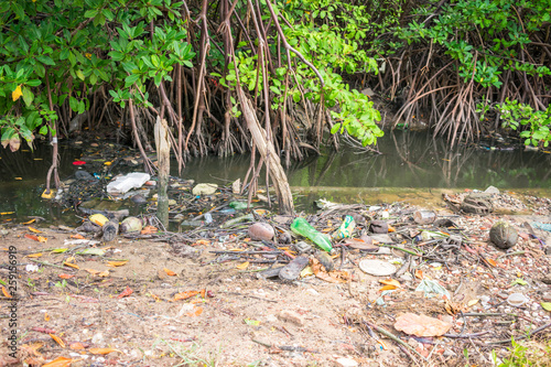 A view of a mangrove full of trash on Itamaraca Island - Pernambuco  Brazil