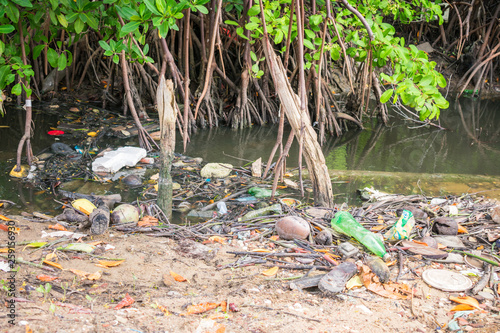 A view of a mangrove full of trash on Itamaraca Island - Pernambuco, Brazil