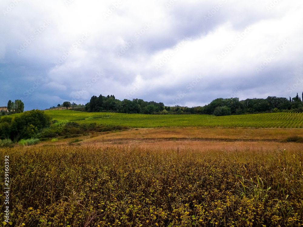 Tuscan field on a cloudy day