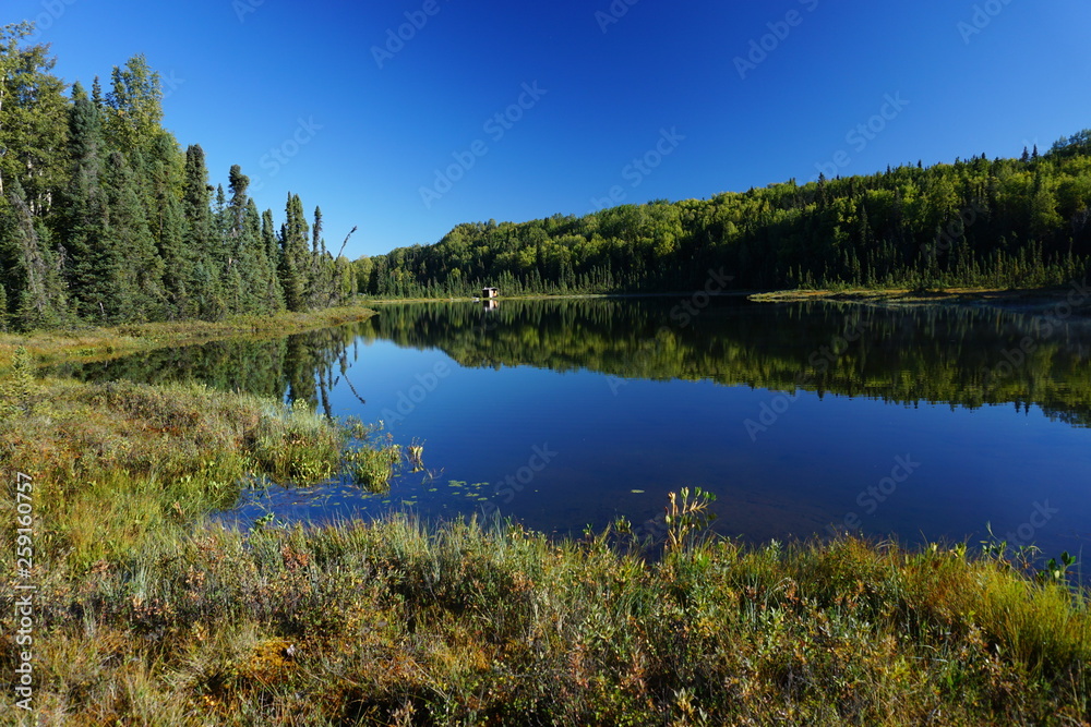 Beautiful wild landscape in  Alaska reflecting in calm lake