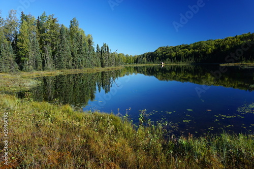 Beautiful wild landscape in Alaska reflecting in calm lake