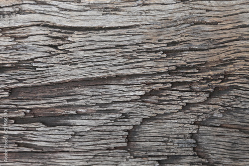 Rustic old plank of wood with deep texture for background design purpose