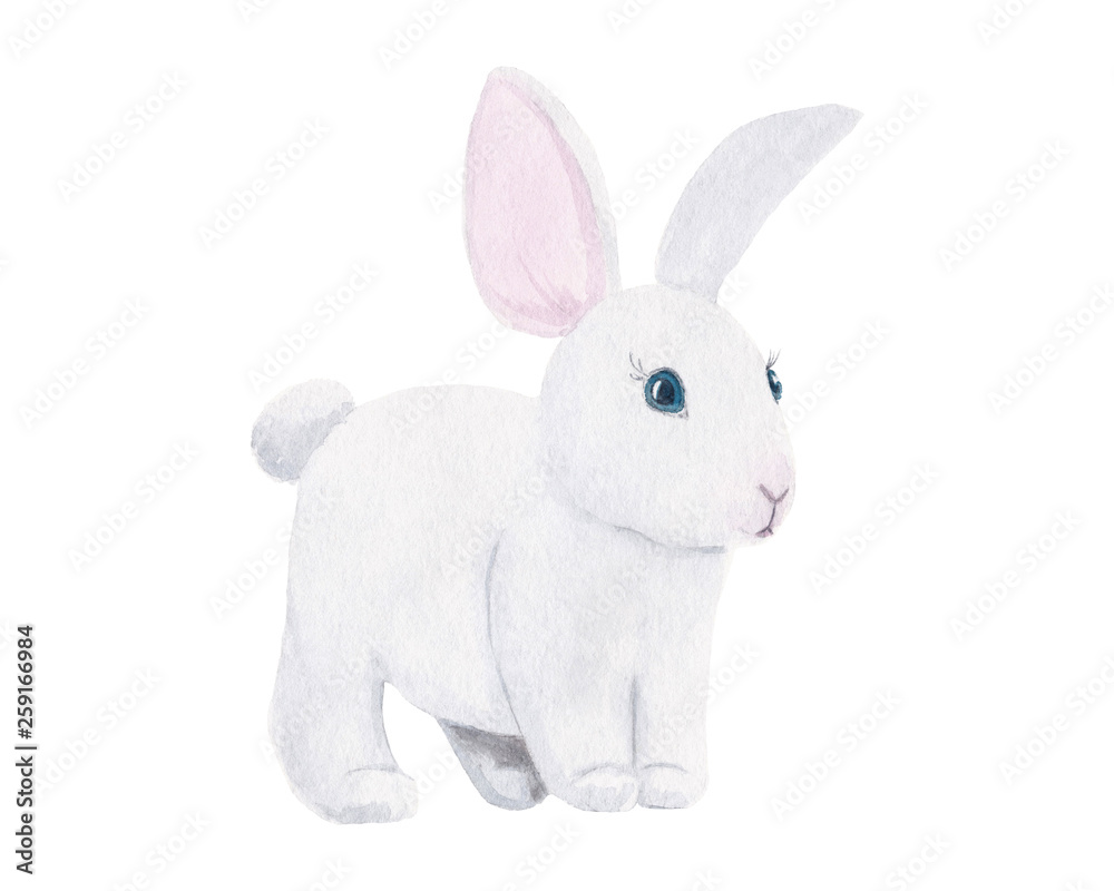 Watercolor hand drawn cute little white rabbit isolated on white background