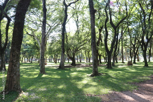 Ibirapuera's Park - 114