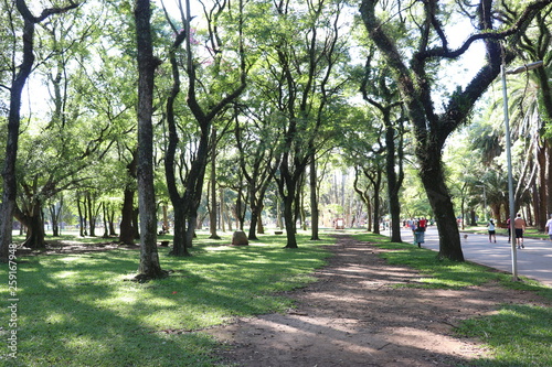Ibirapuera's Park - 113
